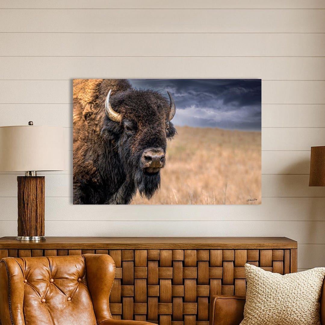 American Bison Photo Print - Rustic Western Wall Art - Etsy