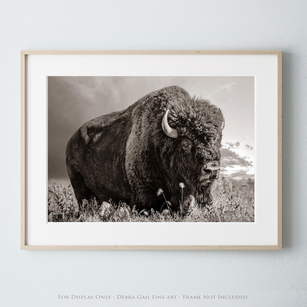 Large Bison Western Decor Wall Art, Native American Art Buffalo Canvas ...