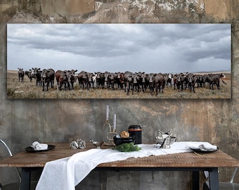 Black Angus Cow Canvas Print | Oversize Panoramic Farmhouse Western Wall Art