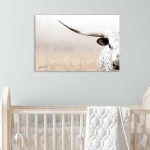 Texas longhorn cow picture nursery wall art by Debra Gail