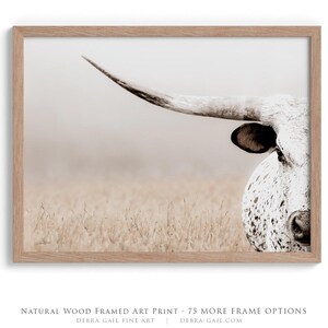 May include: A framed art print featuring a close-up of a white longhorn cow with black spots, positioned on the right side of the frame. The cow is set against a soft, hazy, light-coloured field. The frame is made of natural light-toned wood.