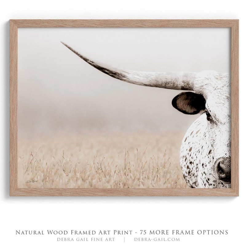 May include: A framed art print featuring a close-up of a white longhorn cow with black spots, positioned on the right side of the frame. The cow is set against a soft, hazy, light-coloured field. The frame is made of natural light-toned wood.