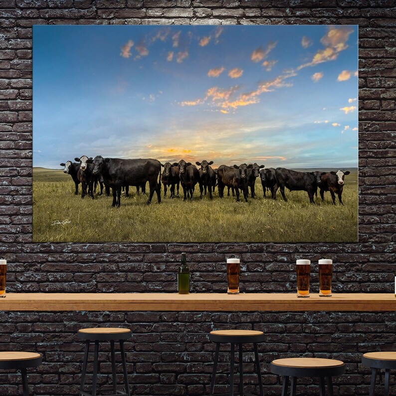 Black Angus Cow Canvas Western Decor Cow Photo Print Oversize Wall Art
