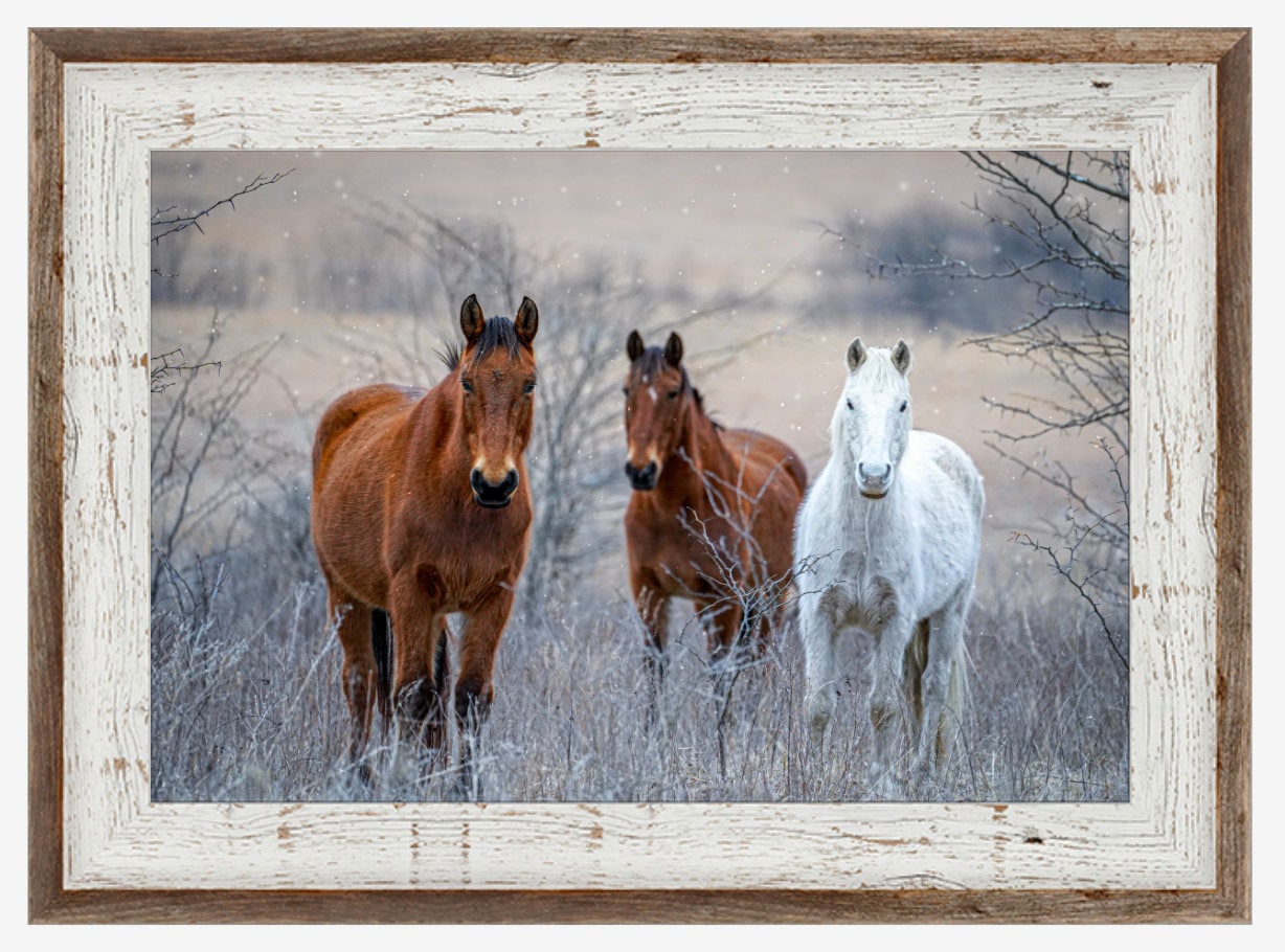 Horse Wall Art Extra Large Horse Print On Canvas Framed Etsy