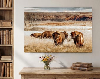 Bison Herd Wall Art Canvas - American Buffalo Authentic Original Photography Great Plains Print