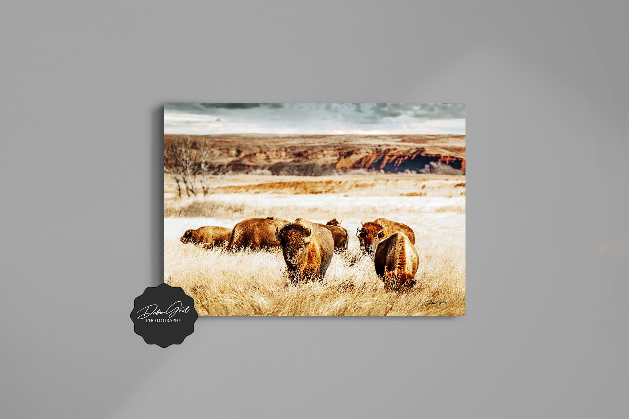 Longhorn Bull Western Decor - Debra Gail