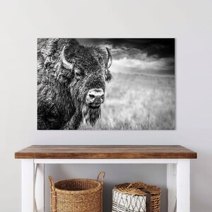 American Bison Bull Print – Black and White Western Decor
