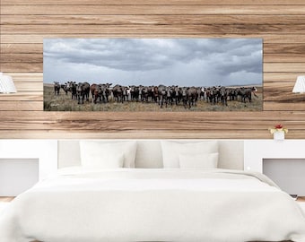 Black Angus Cow Canvas Print | Oversize Panoramic Farmhouse Western Wall Art