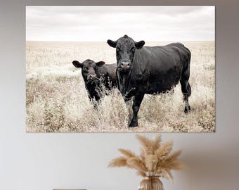 Black Angus Cow Calf Fine Art Print – Rustic Farmhouse Decor