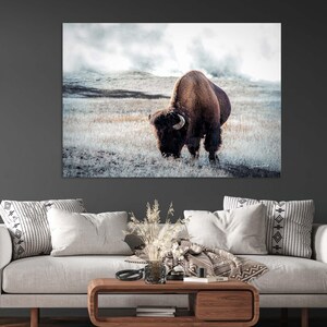Yellowstone Bison Photo: American Buffalo Prairie Wall Art