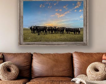 Black Angus Cow Canvas Print - Western Ranch Decor