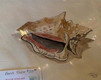 Beach Shell