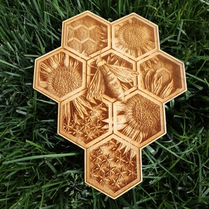 Honeycombs, honeybees and Sunflowers | Bee Lovers | Nature Gift | Flower Gift | Housewarming | Nature Lover | Animal Lover | Outdoor Lover