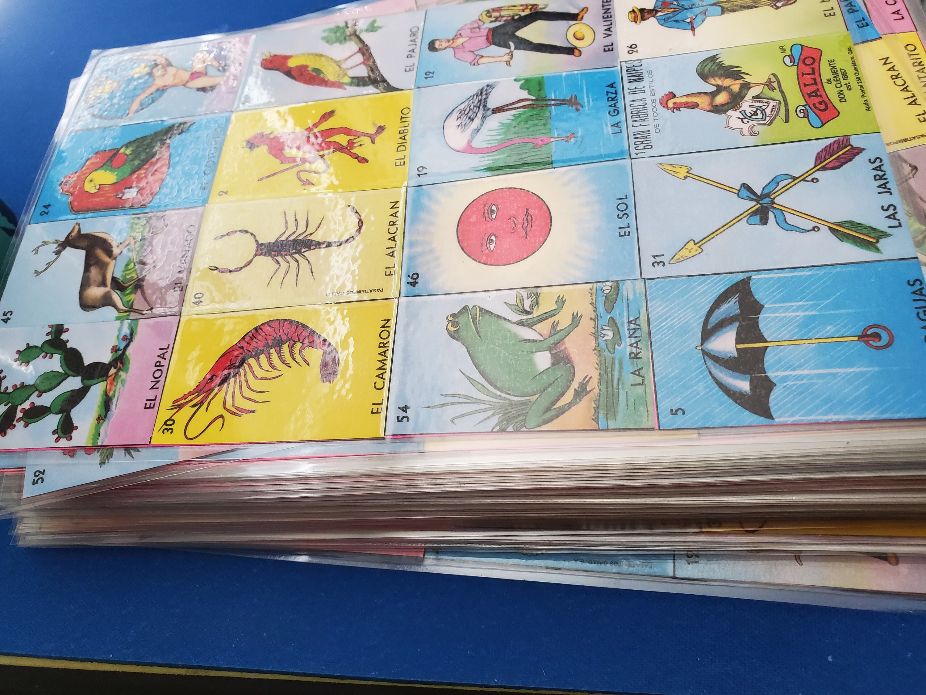 50 Custom Laminated Loteria Cards Etsy