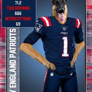 Tarjeta coleccionable personalizada de la NFL para mascotas