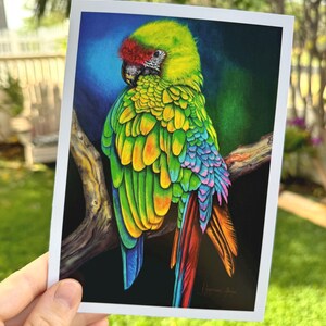 Arc-en-ciel avec un coeur : Carte de voeux vierge Ara vert