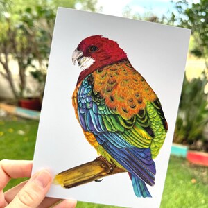 Exibindo: Cartão de felicitações em branco com pássaro tropical