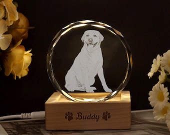 Personalisierte Kristall gravierte Haustier Foto Nachtlicht, runde Kristall 2D Porträt Carving, Haustier Foto in Glas, Katzenhund Foto gravierte Memoria