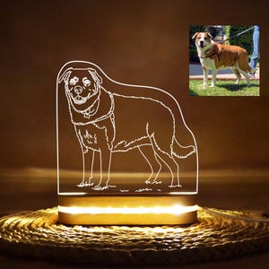 Personalized Pet Portrait Night Light, Line Art Engraved Acrylic Pet Picture, Dog Photo Engraving,Cat Portrait Night Light,Gift for Pet Loss