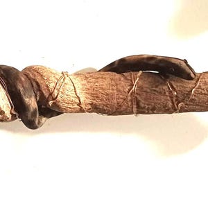May include: A natural, brown vine with a twisted design. The vine is wrapped with lighter-coloured material and features a dark brown seed pod. The image is set against a white background.