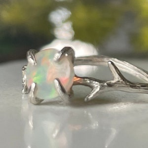 May include: A silver ring with a white opal gemstone set in a branch-like design.