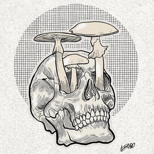 Destroying Angel, mushroom, poisonous, art print, skull, oddity