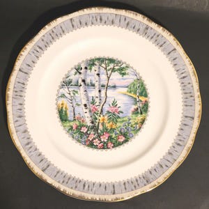 Royal Albert Silver Birch - Etsy