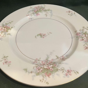 Set of 2 Haviland Apple Blossom Dinner Plates