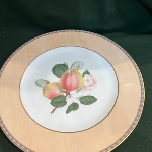 Mikasa “Pomme Royale” dinner plates-set of 2