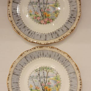 Royal Albert Silver Birch - Etsy