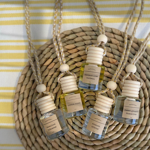 Spring/Summer Scented Hanging Car Diffuser: Choice of Fragrance (8ml/10ml Refill Option Available)
