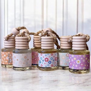Hanging Car Diffuser/Refills, SPRING/SUMMER Scented Car Fresheners, Retro Car Diffusers, Car Freshie, Car Accessories, Air Fresheners, 8ml.