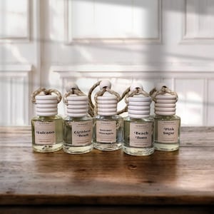 Hanging Car Diffuser/Refills, SPRING/SUMMER Scented Car Fresheners, Choice of Fragrance, Car Accessories, Car Freshie, Air Fresheners, 8ml.