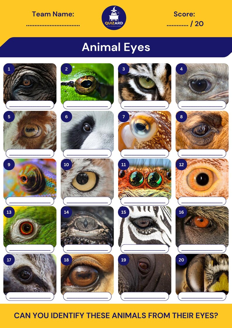 Animal Eyes | Printable Picture Quiz | Party Game - Etsy