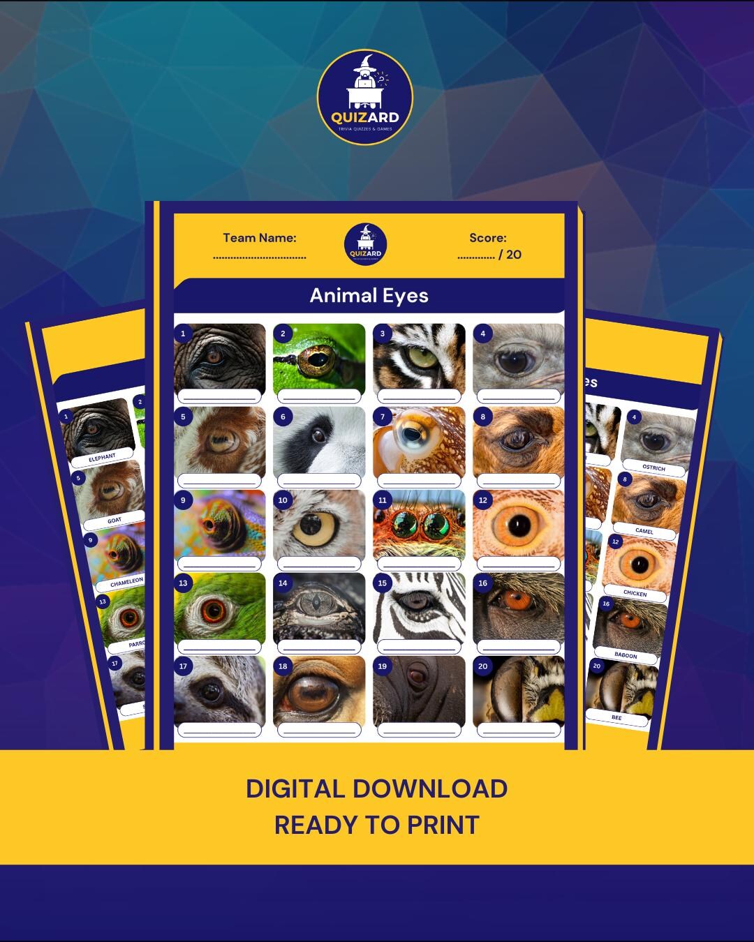 Animal Eyes | Printable Picture Quiz | Party Game - Etsy