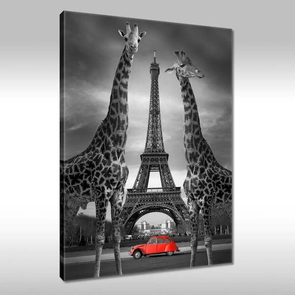Leinwandbild Canvas Print Deko Wandbild 80x120cm France Frankreich Paris Eiffelturm Giraffen Citroën Ente CV2 Deux chevaux
