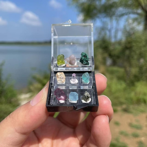 Natural Mixed Crystal Specimen Box | Raw Gemstone Collection Crystal Decor Crystal Decor