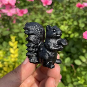 Hand Carved Black Obsidian Squirrel Carving|Healing Crystal|Crystal Animal Squirrel Sculpture|Energy Stone|Squirrel Gift for Her and Kids