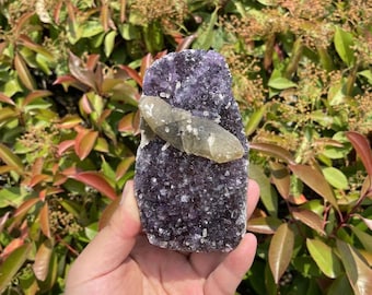 Natural Amethyst Crystal Specimen: Standing Geode Quartz Cluster
