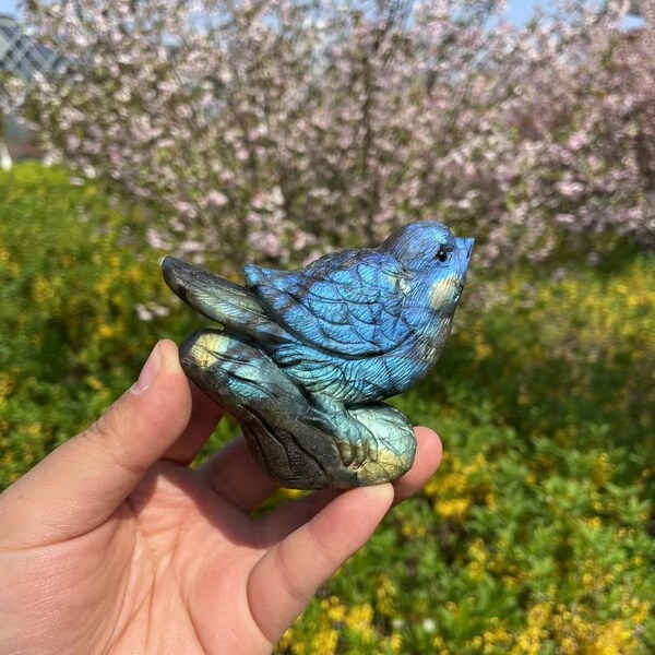 Hand Carved Labradorite  Bird Carving with Blue Flash|Crystal Animal Bird Carving|Bird Gift for Her and Kids|Spiritual Mineral Crystal Stone