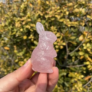 Cute Rose Quartz Rabbit Carving|Healing Crystal Crystal Animal Bunny Carvings|Energy Stone|Unique Crystal Bunny Gift for Her and Kids #A