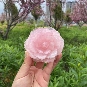 Hand Carved Rose Quartz Peony Flower Carving|Crystal Flower Carving|Rose Quartz Flower Peony Sculpture Crystal Flower Gift for Women and Men