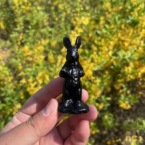 Cute Black Obsidian Rabbit Carving|Healing Crystal Carving Crystal Obsidian Animal Bunny Sculpture|Crystal Bunny Gift for Her and Kids