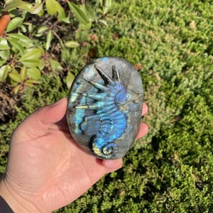 Hand Carved Bigger Labradorite Seahorse Carving with Flash|Healing Crystal|Crystal Seahorse Sculpture|Crystal Gift for Women and Men #05