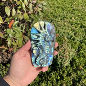 Hand Carved Bigger Labradorite Seahorse Carving with Flash|Healing Crystal|Crystal Seahorse Sculpture|Crystal Gift for Women and Men #04