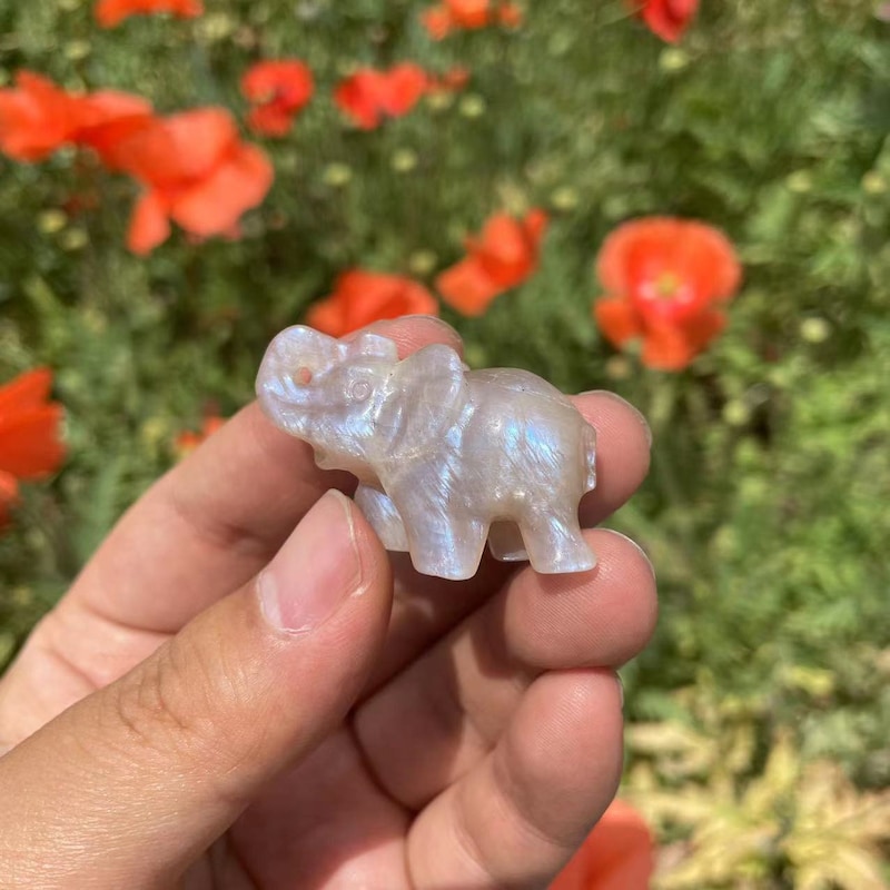 Crystal Elephant Decor Etsy New Zealand