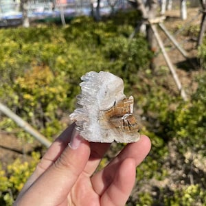 Natural Crystal Skull Carving with Sparkly Cluster|Crystal Skull Carving|Crystal Skull Gift for Her and Him|Spiritual Mineral Crystal #02