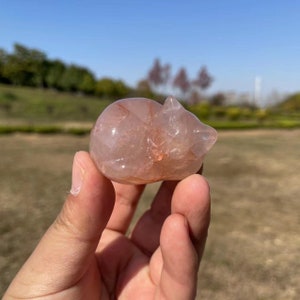 Fire Quartz Cat Carving|Hand Carved Crystal Fire Quartz Sleeping Cat Sculpture|Crystal Cat Gift for Women Kid Men Spiritual Mineral #02
