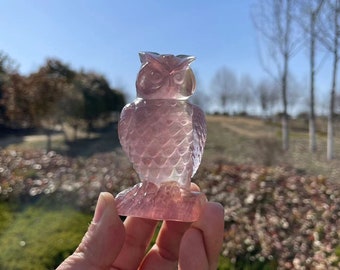 Hand Carved Purple Fluorite Owl Carving|Crystal Animal Owl Carving|Crystal Fluorite Animal Owl Sculpture|Crystal gift for Kids and Women #02