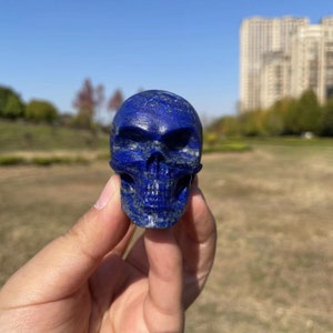 Cool Lapis Lazuli Skull Carving|Crystal Skull Sculpture|Healing Crystal Hand Carved Crystal Lapis Lazuli Skull Gift for Women and Men #05